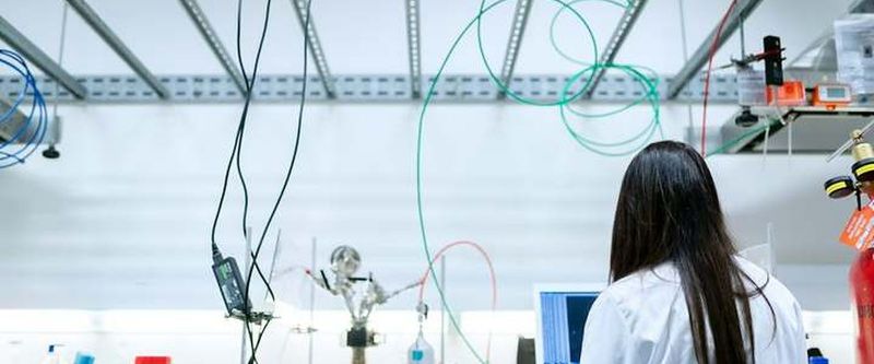 Head of Customer Experience Search: When the Market Is Saturated